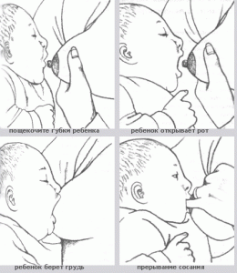 Як правильно годувати немовля груддю